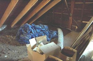 gal/Button House - Restoration/tn_DCP_787.jpg